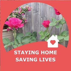 Meet your Posher, Berta